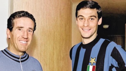 683228d6c312c.r_d.335-260-8571