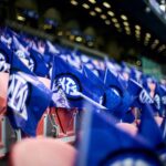 73b9a17312b4718ff17ccbac1a3e77d7-scaled